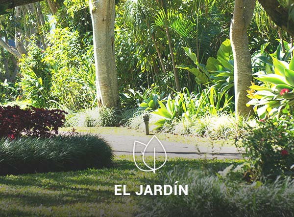 Jardin-4-2