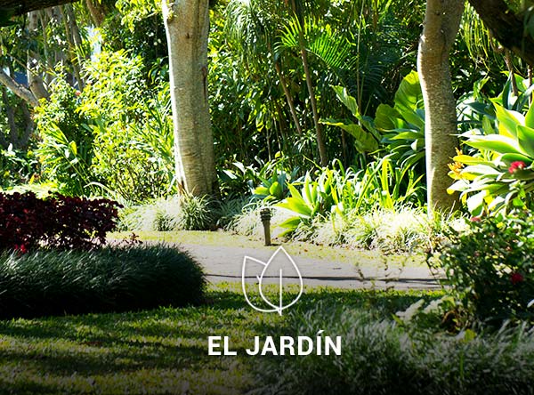 Jardin-4